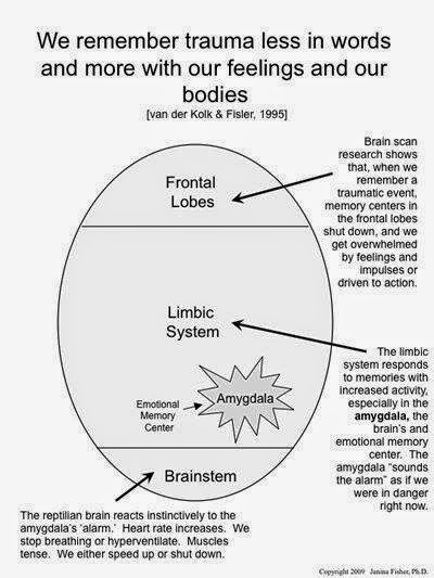 Effects of Child Abuse on the Developing Brain