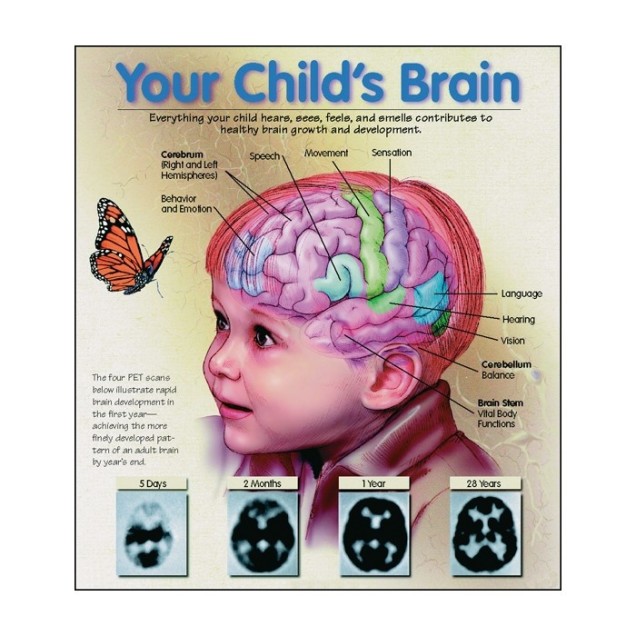 Childs Brain 