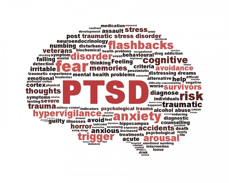 Effects of PTSD on the brain
